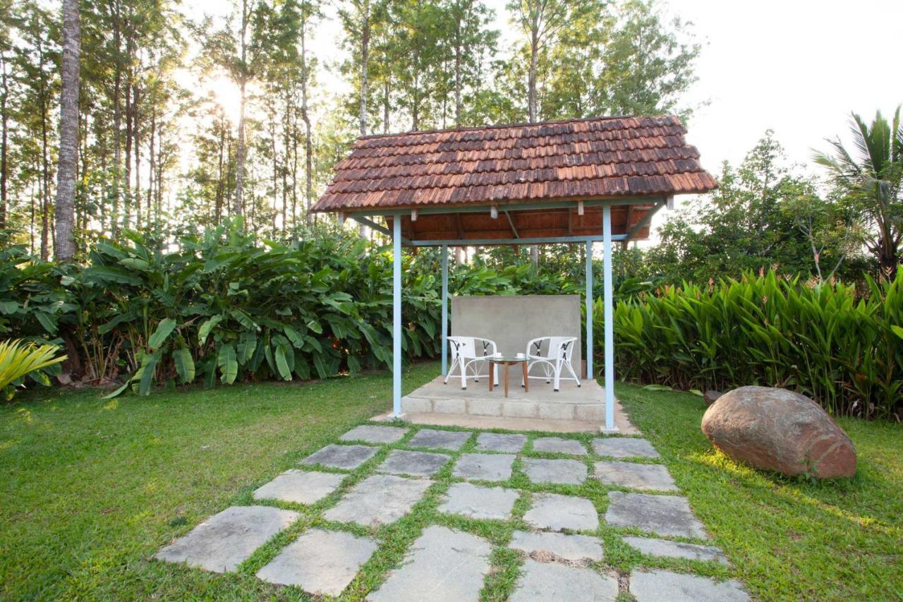 Stayvista At Cedar - Strelitzia 2Bhk With Breakfast And Jacuzzi Chikmagalūr エクステリア 写真